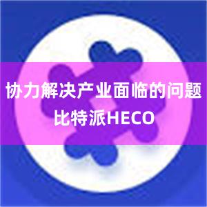 协力解决产业面临的问题比特派HECO